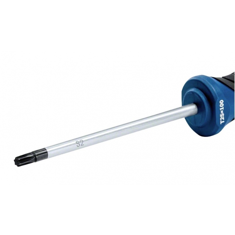 Šroubovák TX25X100 Professional - 1600A01V0D